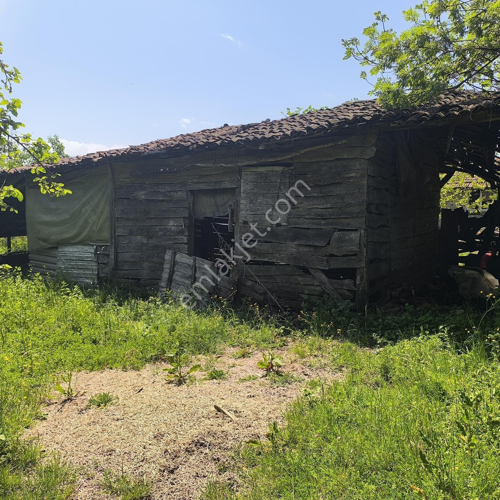 Kandıra Dalca'da %40 İmarlı Köy İçi Arsa-yatırım Yaşam Birarada - Görsel 33