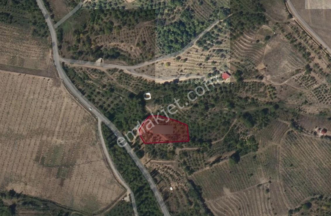Toros Emlak'tan Çamardı Bademdere Satılık 2750 M2 Bahçe - Görsel 5