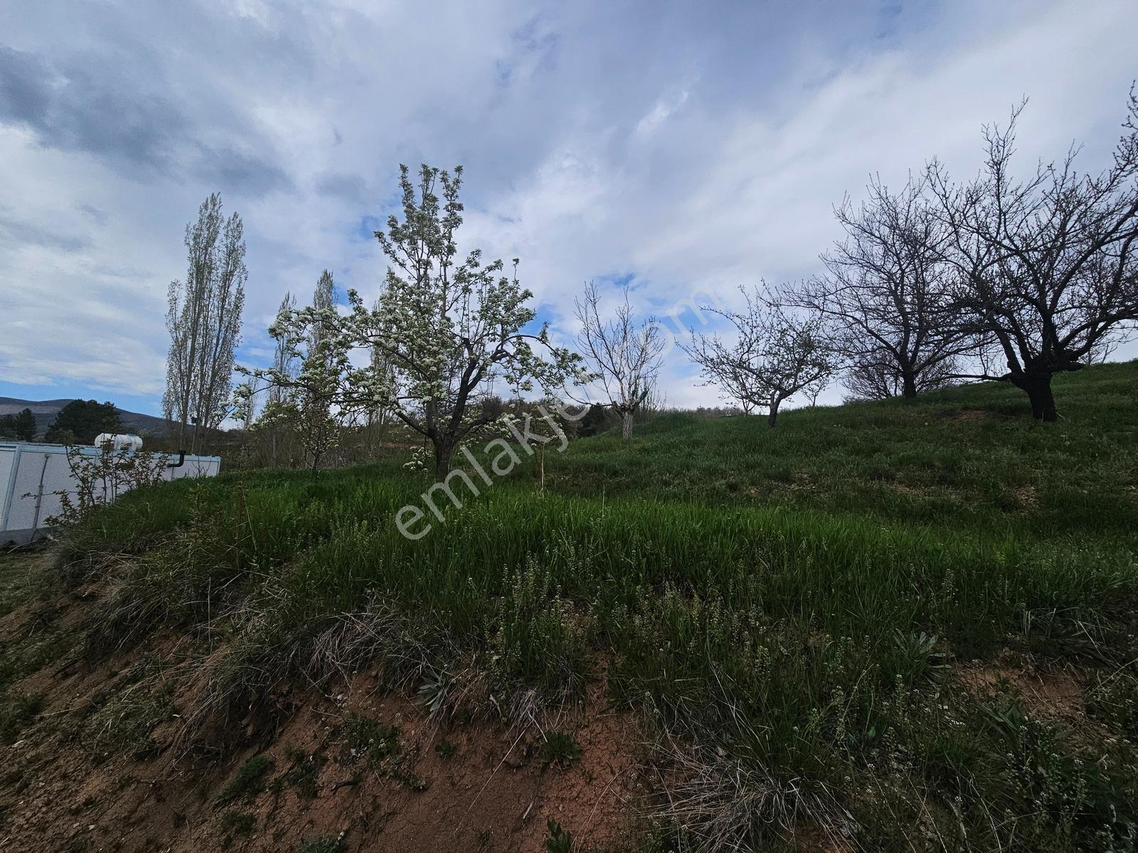 Toros Emlak'tan Çamardı Bademdere Satılık 2750 M2 Bahçe - Görsel 13