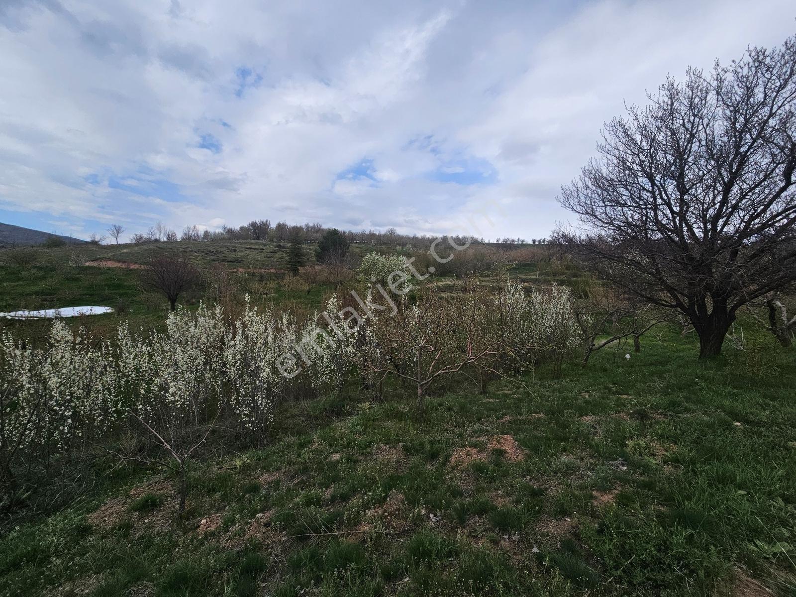 Toros Emlak'tan Çamardı Bademdere Satılık 2750 M2 Bahçe - Görsel 24