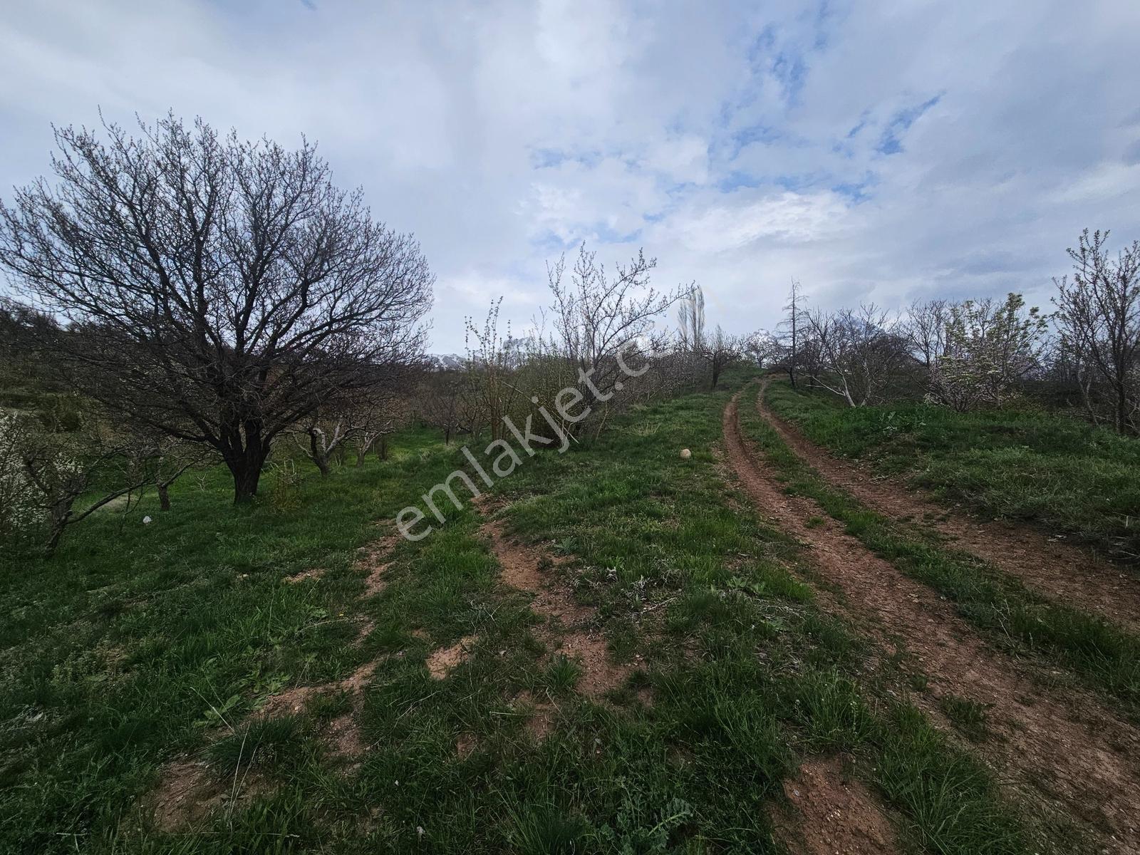 Toros Emlak'tan Çamardı Bademdere Satılık 2750 M2 Bahçe - Görsel 18