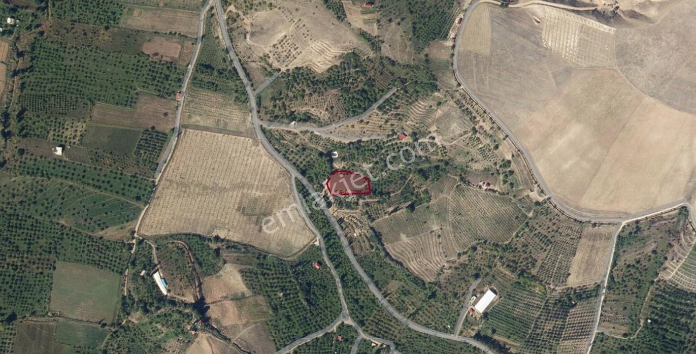 Toros Emlak'tan Çamardı Bademdere Satılık 2750 M2 Bahçe - Görsel 6