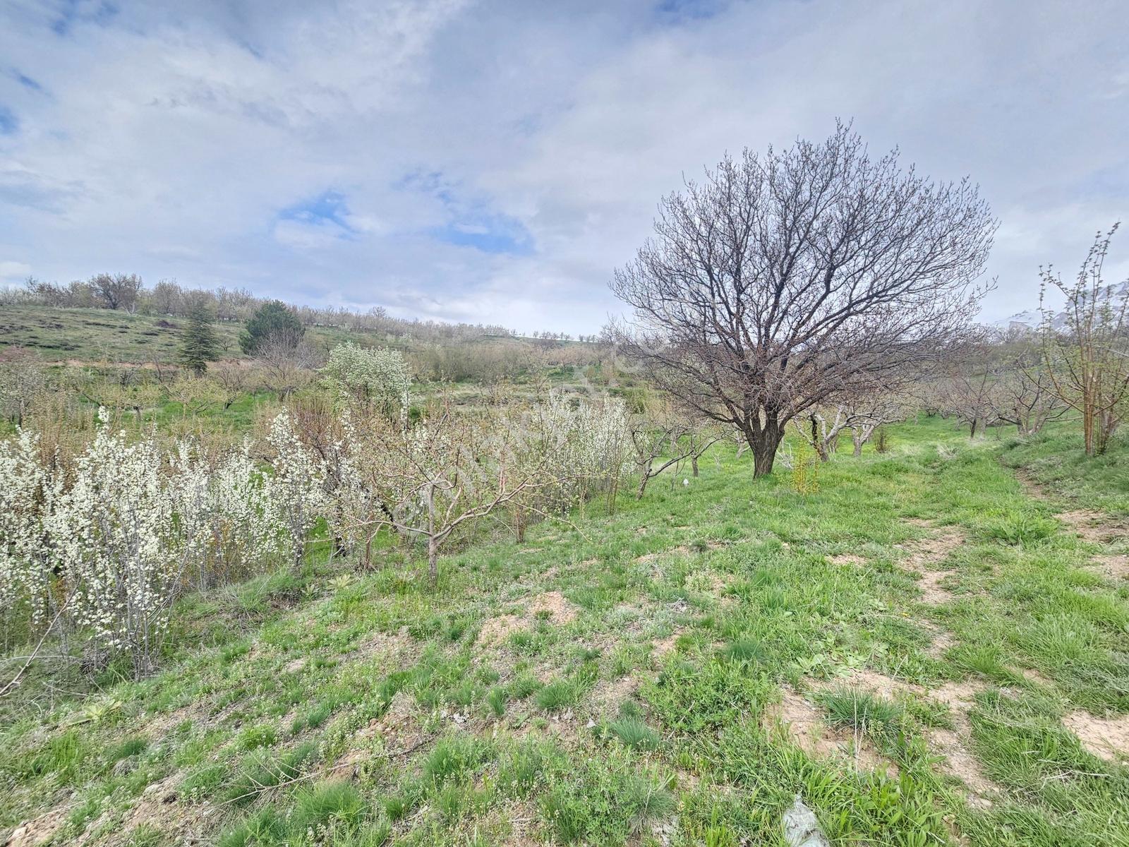 Toros Emlak'tan Çamardı Bademdere Satılık 2750 M2 Bahçe - Görsel 10