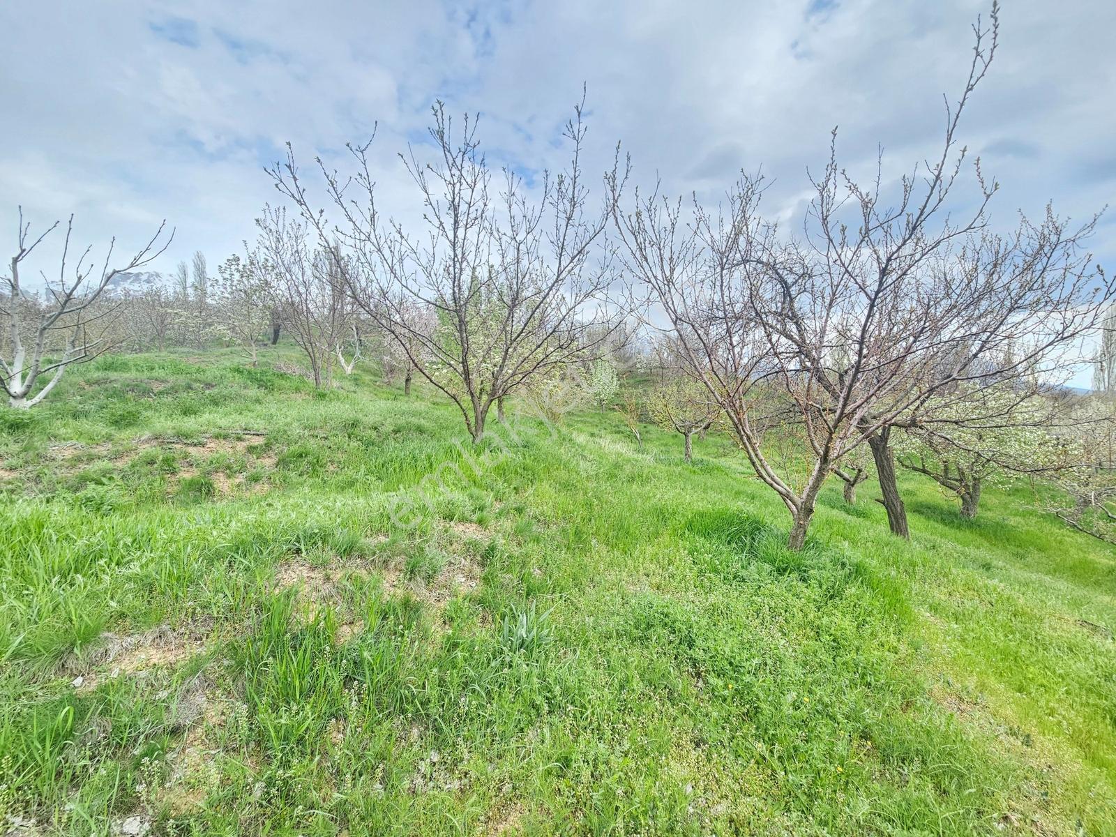 Toros Emlak'tan Çamardı Bademdere Satılık 2750 M2 Bahçe - Görsel 17