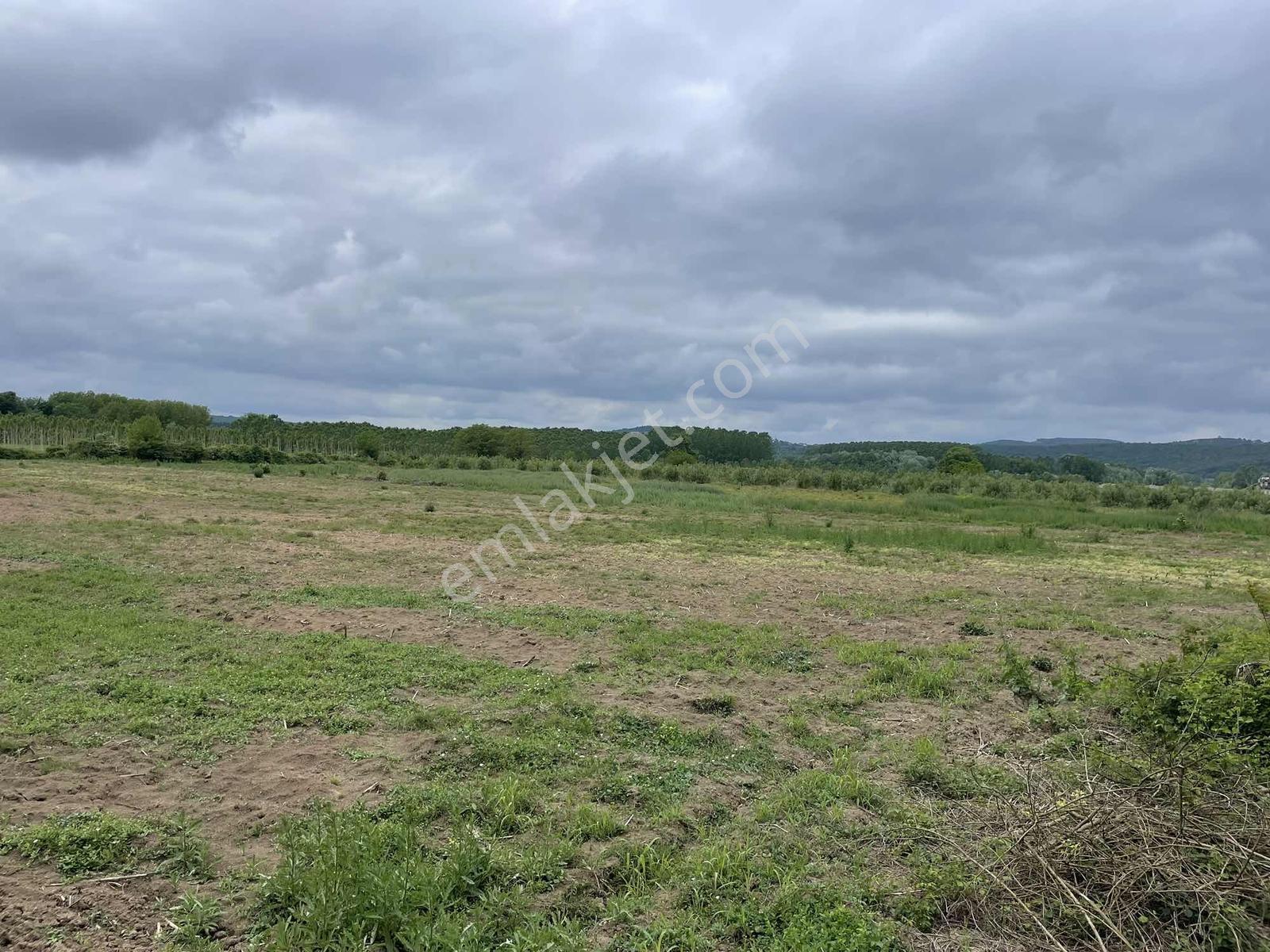 Hendek'te 12.232m2 Resmi Yollu Arsa - Görsel 8