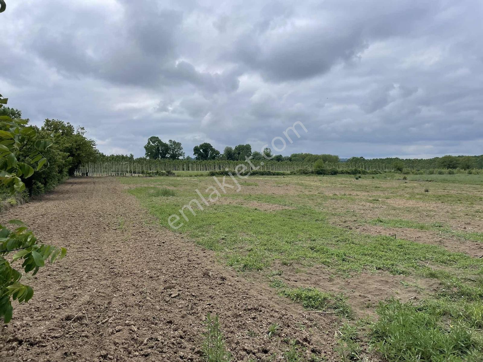 Hendek'te 12.232m2 Resmi Yollu Arsa - Görsel 35