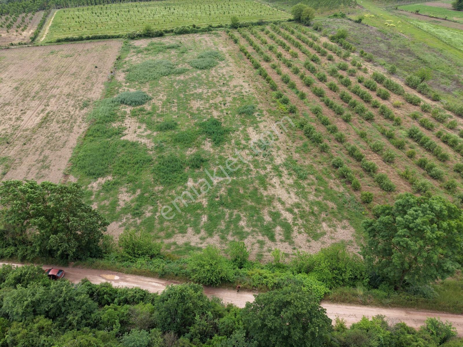 Hendek'te 12.232m2 Resmi Yollu Arsa - Görsel 30