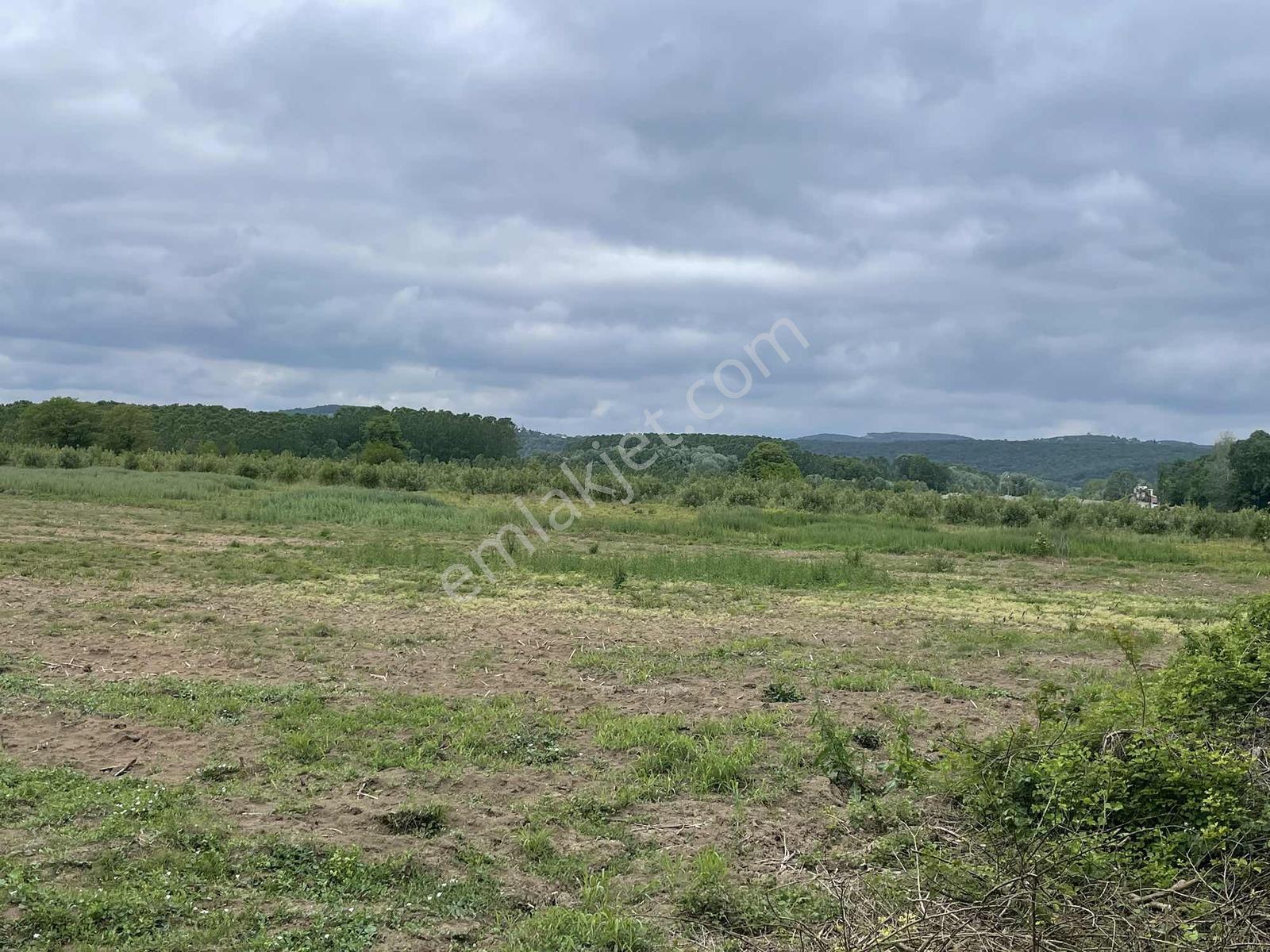 Hendek'te 12.232m2 Resmi Yollu Arsa - Görsel 19