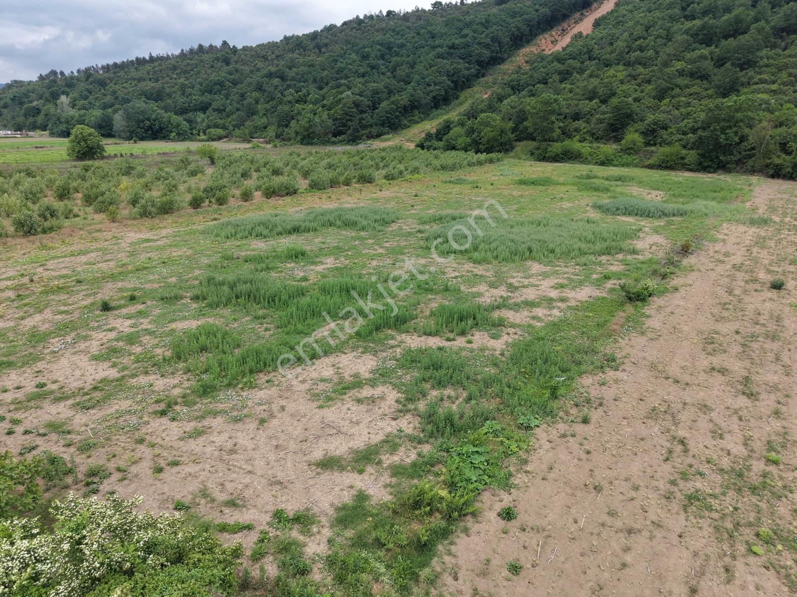 Hendek'te 12.232m2 Resmi Yollu Arsa - Görsel 15