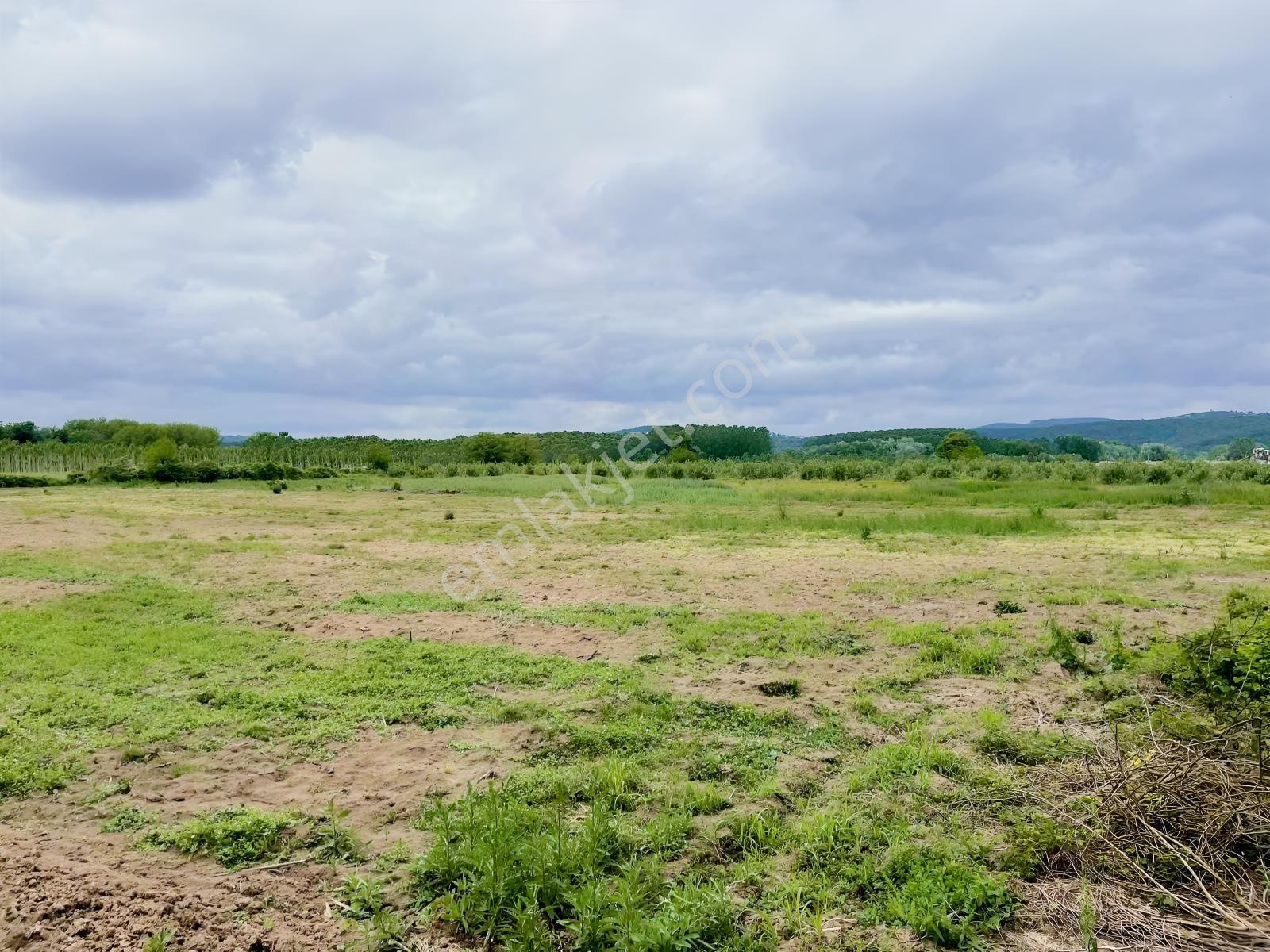 Hendek'te 12.232m2 Resmi Yollu Arsa - Görsel 18