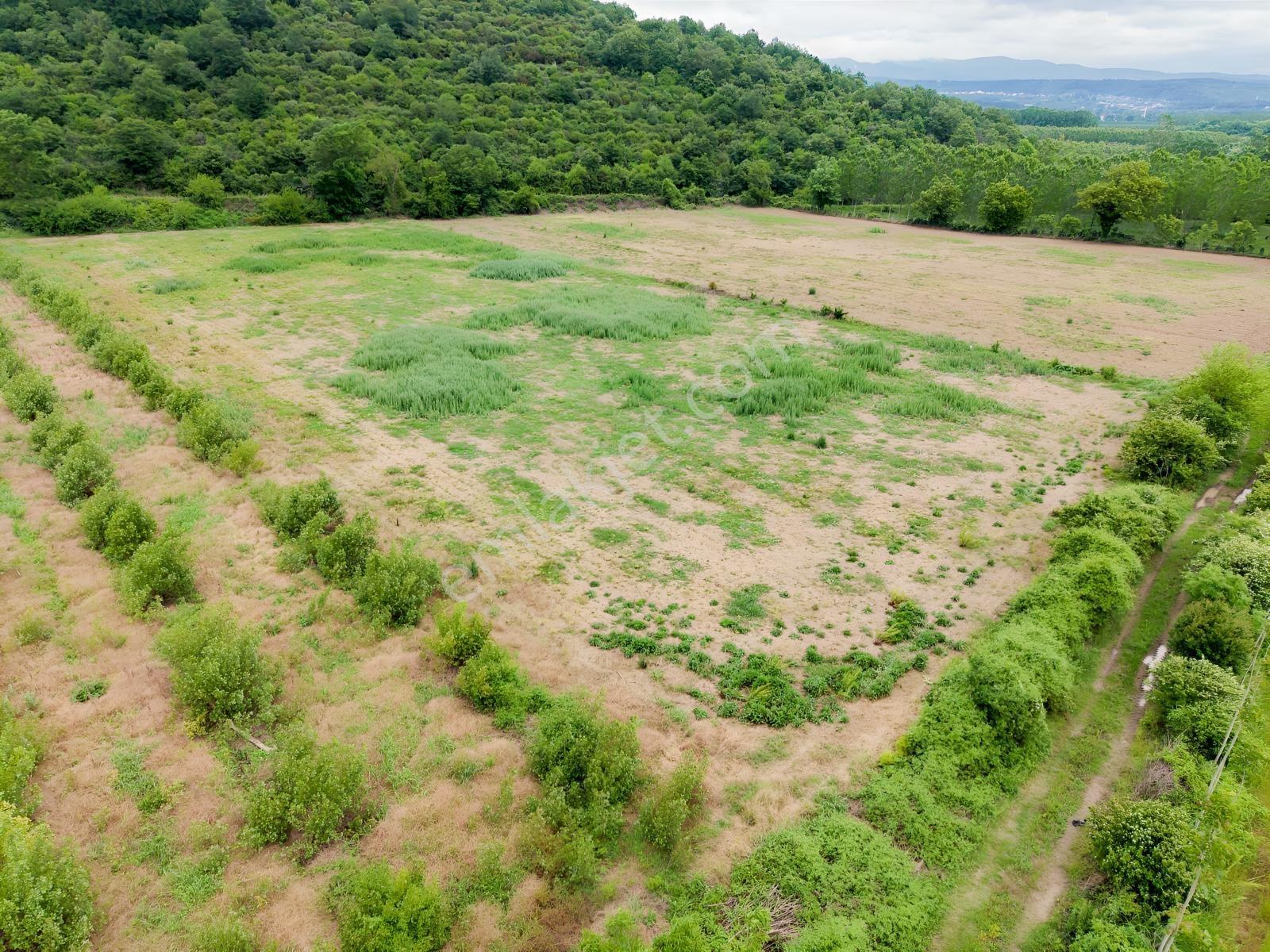 Hendek'te 12.232m2 Resmi Yollu Arsa - Görsel 16