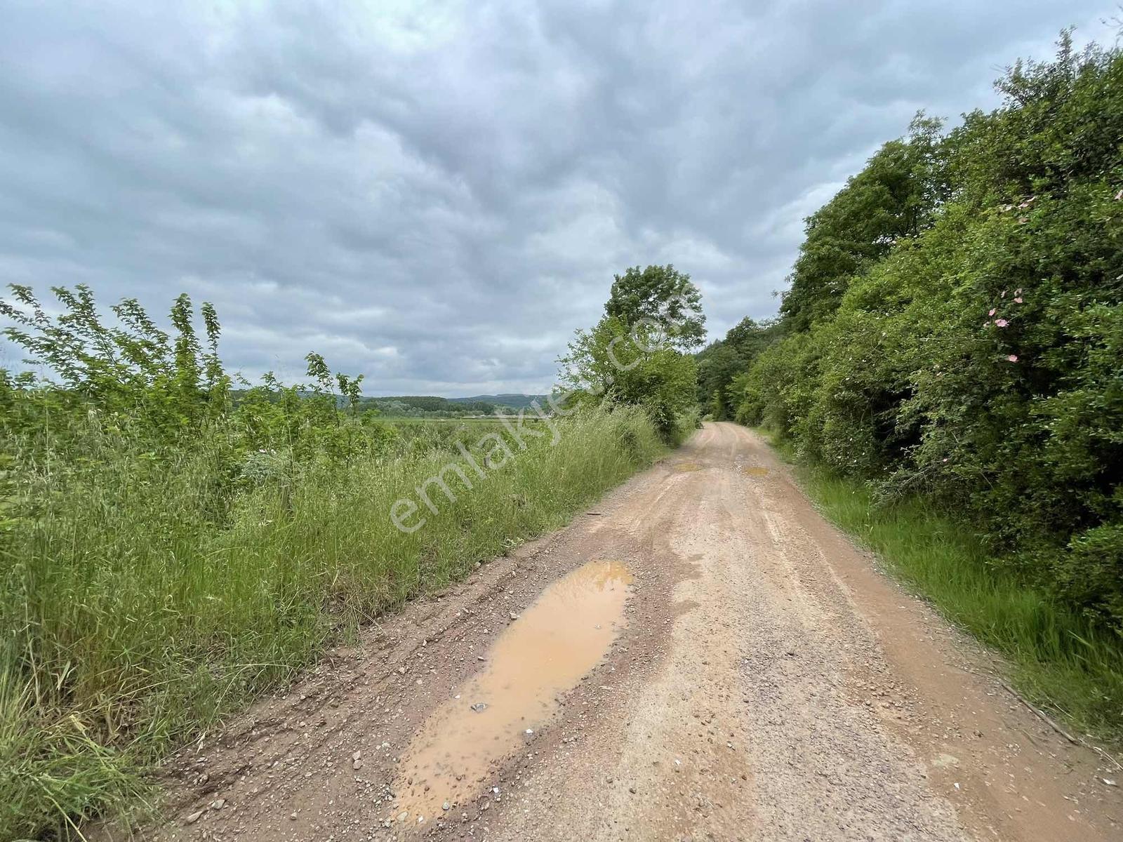 Hendek'te 12.232m2 Resmi Yollu Arsa - Görsel 11