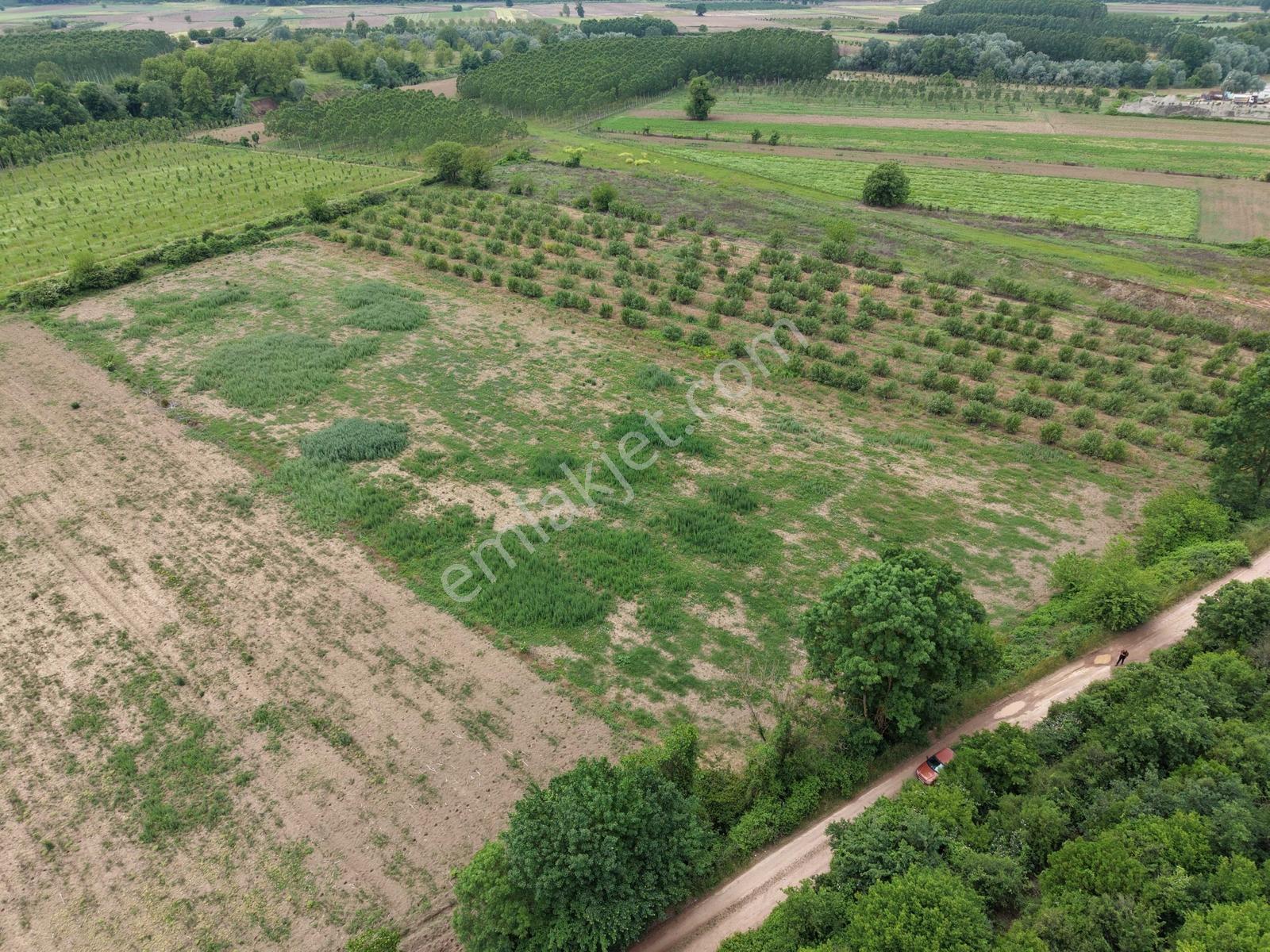 Hendek'te 12.232m2 Resmi Yollu Arsa