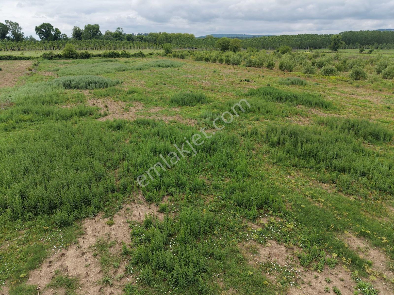 Hendek'te 12.232m2 Resmi Yollu Arsa - Görsel 34