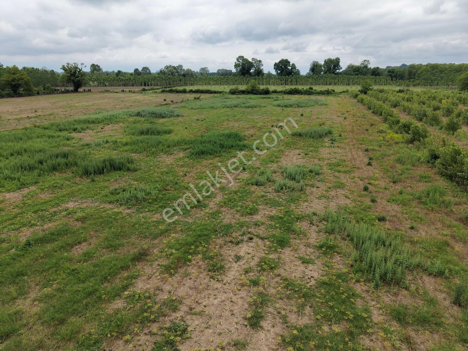 Hendek'te 12.232m2 Resmi Yollu Arsa - Görsel 17