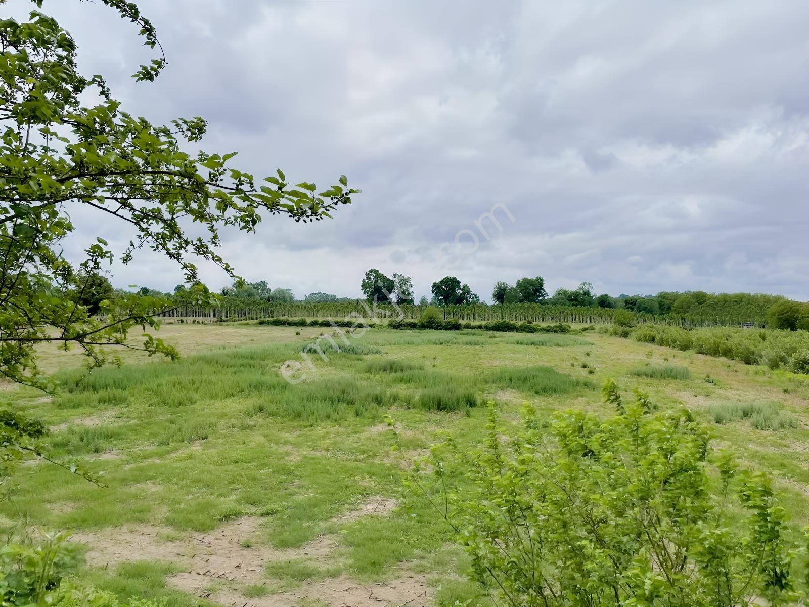 Hendek'te 12.232m2 Resmi Yollu Arsa - Görsel 2