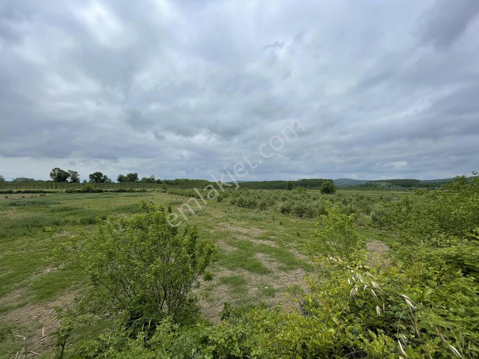 Hendek'te 12.232m2 Resmi Yollu Arsa - Görsel 22