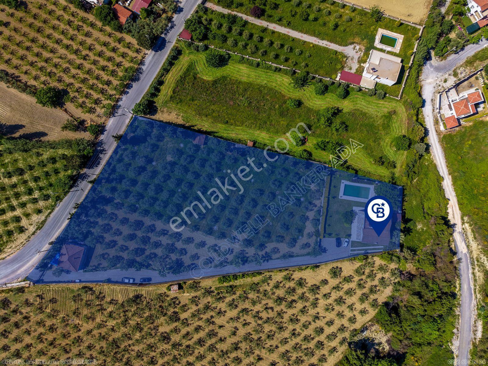 Kuşadası Yaylaköy’de Full Deniz Manzaralı, Zeytinlik İçerisinde Satılık Özel Malikane - Görsel 4