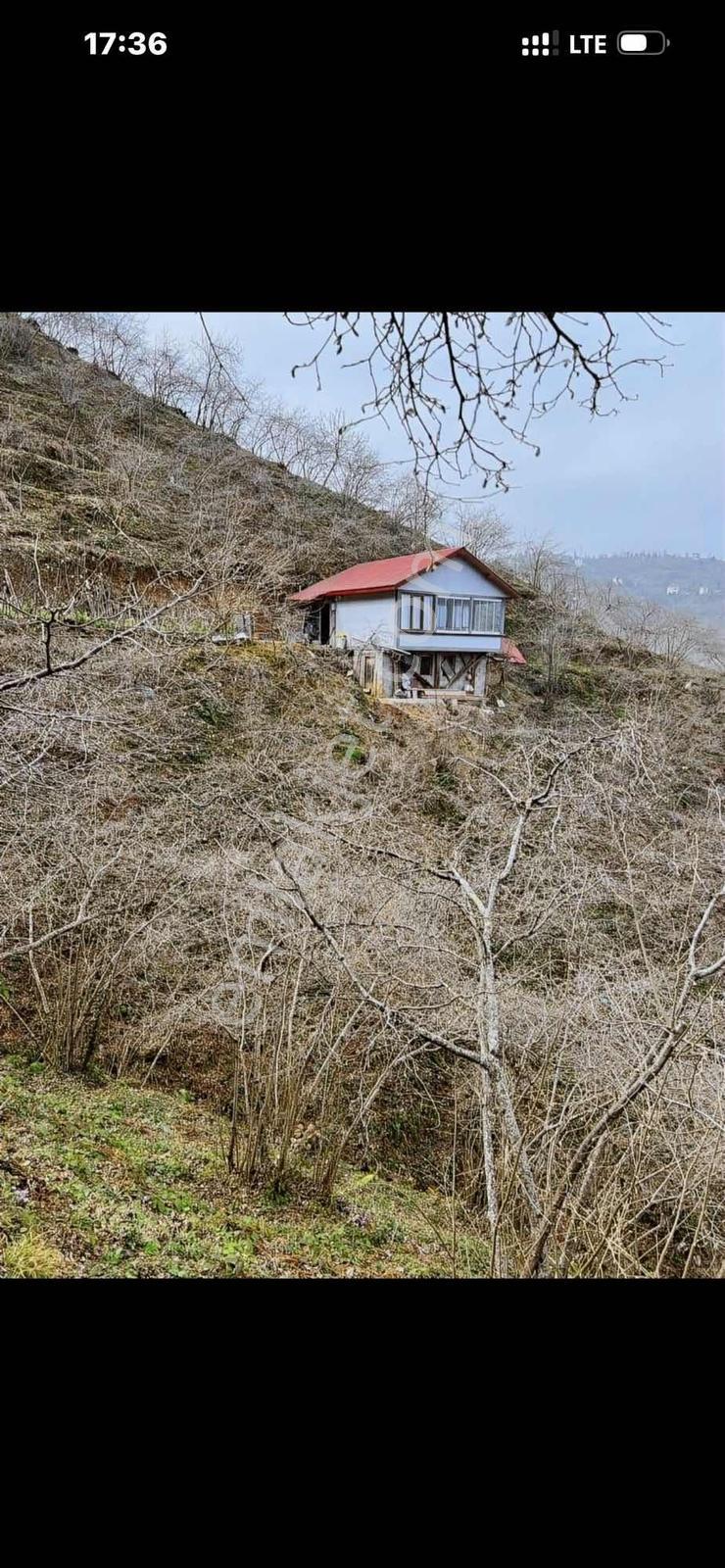 Gokdemir Gayrimenkul'den Satılık Fındık Bahçesi - Görsel 8