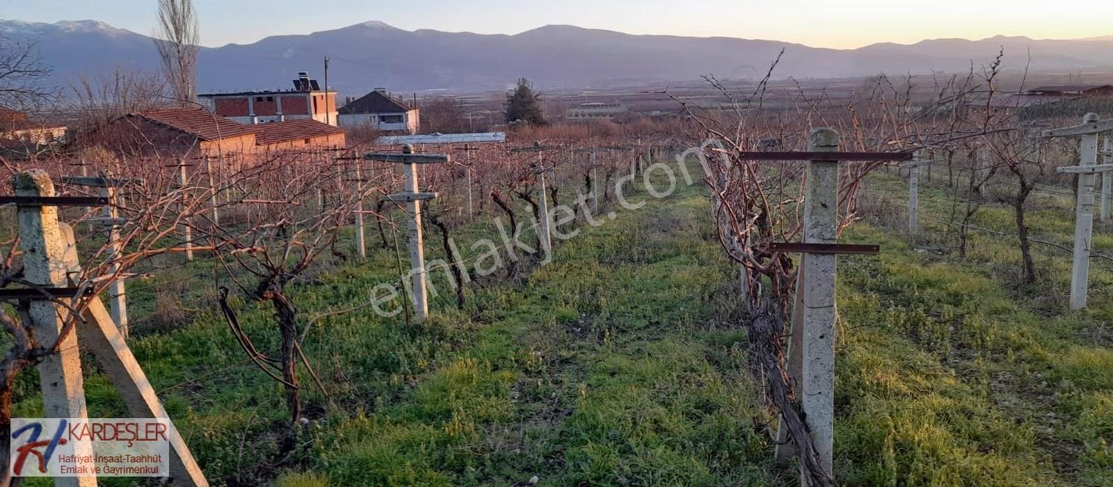 Sakarya Pamukova Oruçlu Mah. 5 Adet Yan Yana %40 İmarlı Arsa - Görsel 5