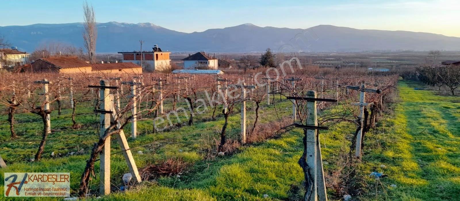 Sakarya Pamukova Oruçlu Mah. 5 Adet Yan Yana %40 İmarlı Arsa - Görsel 16