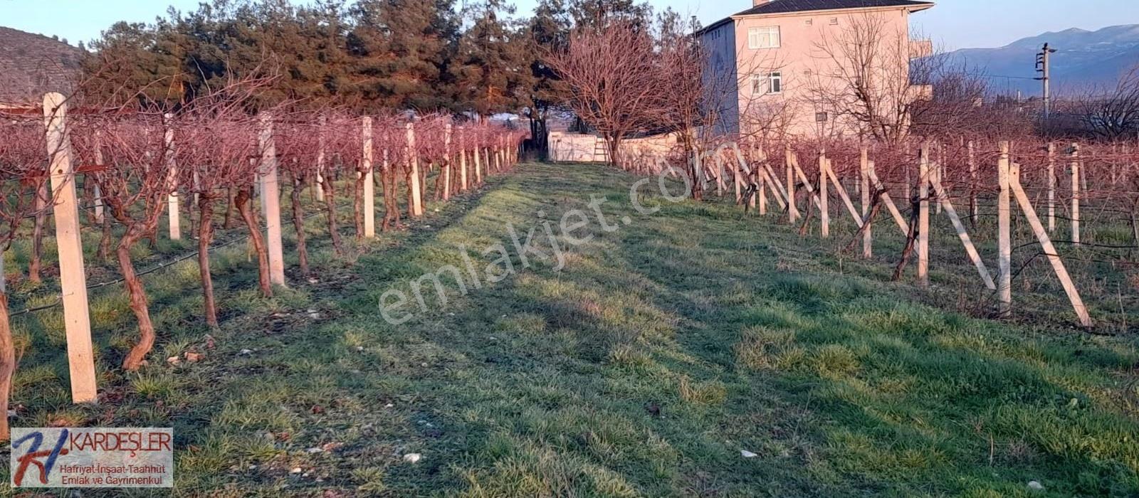 Sakarya Pamukova Oruçlu Mah. 5 Adet Yan Yana %40 İmarlı Arsa - Görsel 14