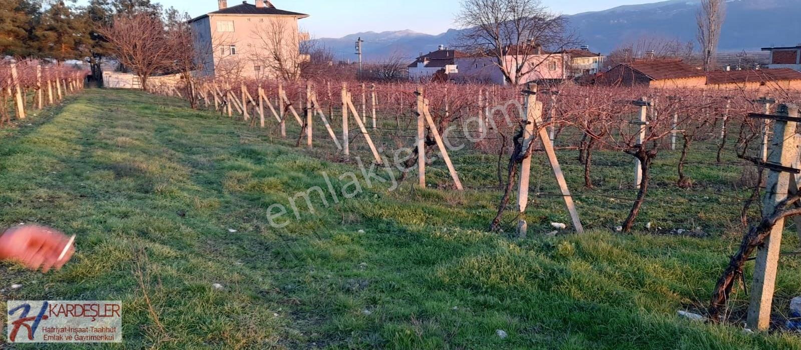 Sakarya Pamukova Oruçlu Mah. 5 Adet Yan Yana %40 İmarlı Arsa - Görsel 4