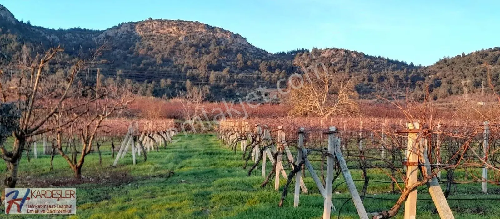 Sakarya Pamukova Oruçlu Mah. 5 Adet Yan Yana %40 İmarlı Arsa - Görsel 2