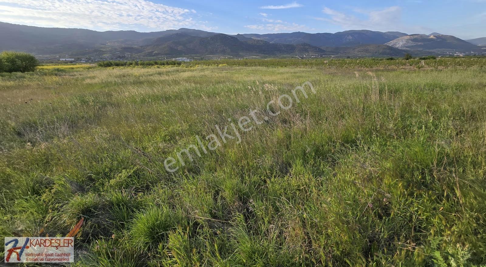 Sakarya Pamukova Hayrettin Mah. 3330 M2 Verimli Arazi - Görsel 23