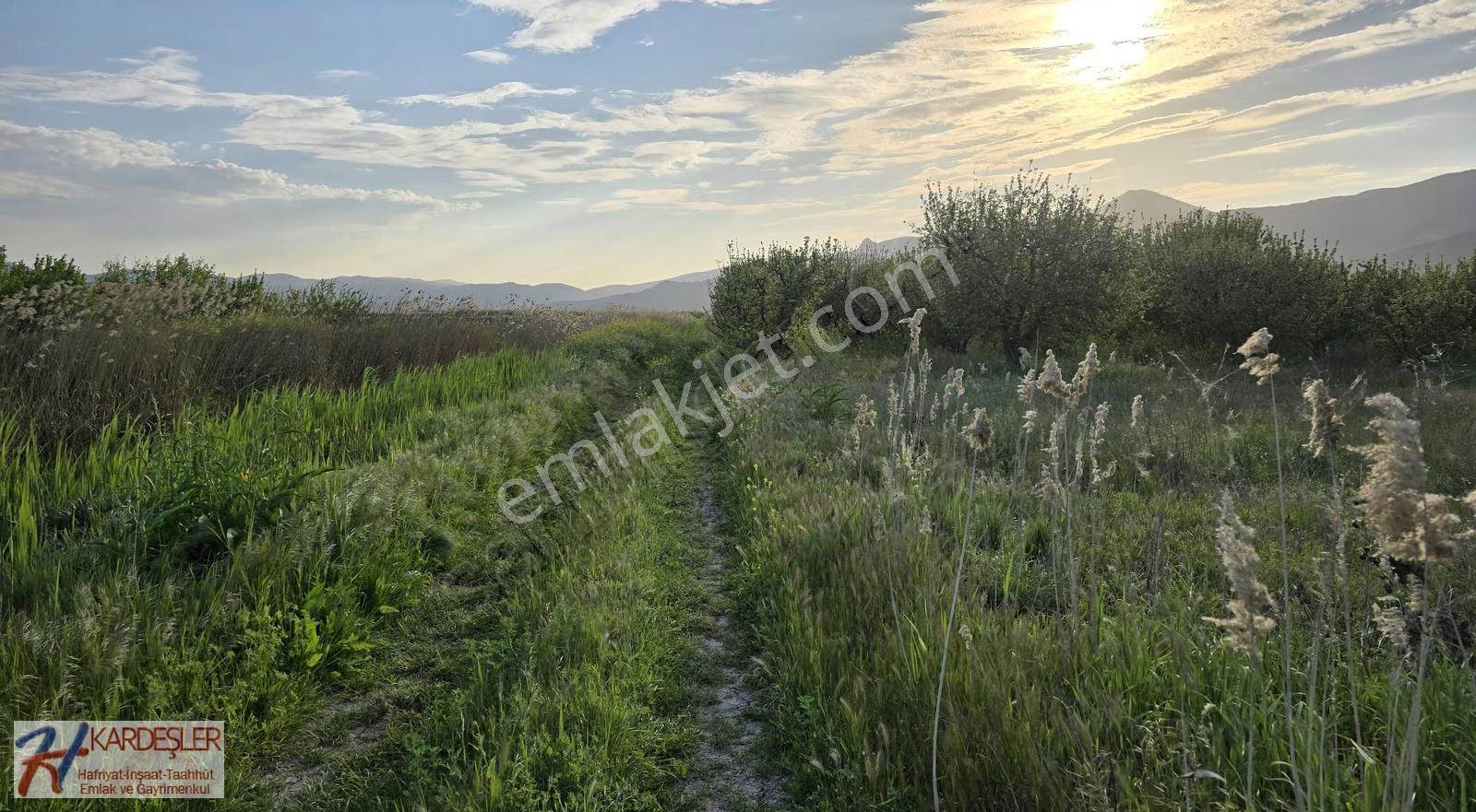 Sakarya Pamukova Hayrettin Mah. 3330 M2 Verimli Arazi - Görsel 11