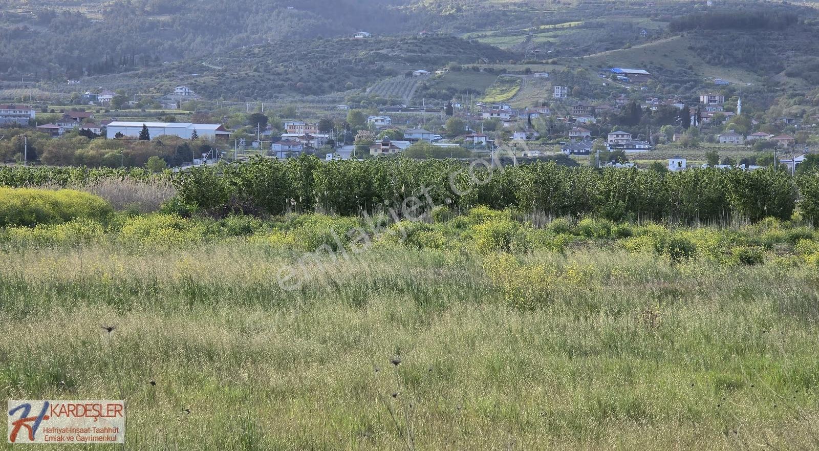 Sakarya Pamukova Hayrettin Mah. 3330 M2 Verimli Arazi