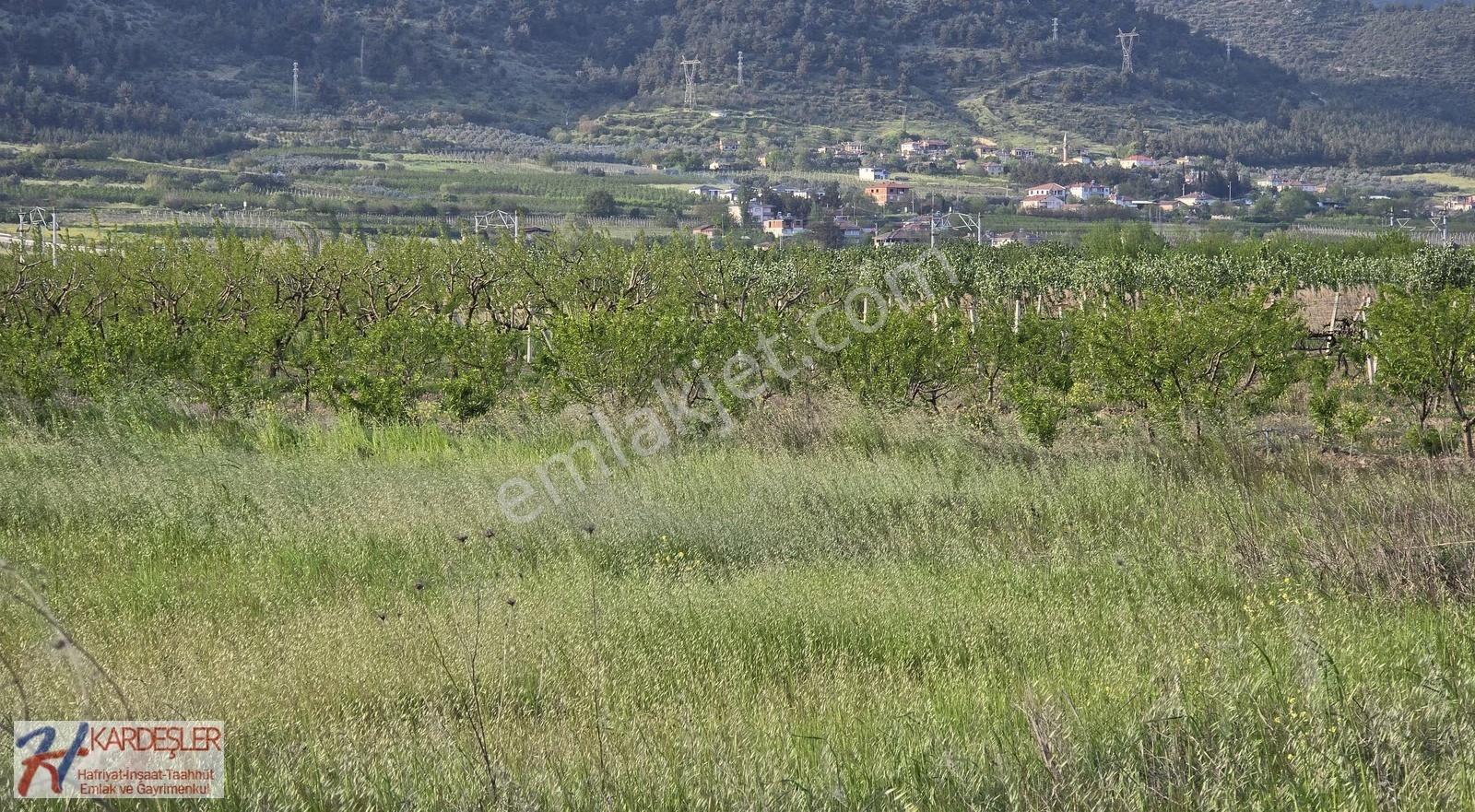 Sakarya Pamukova Hayrettin Mah. 3330 M2 Verimli Arazi - Görsel 9