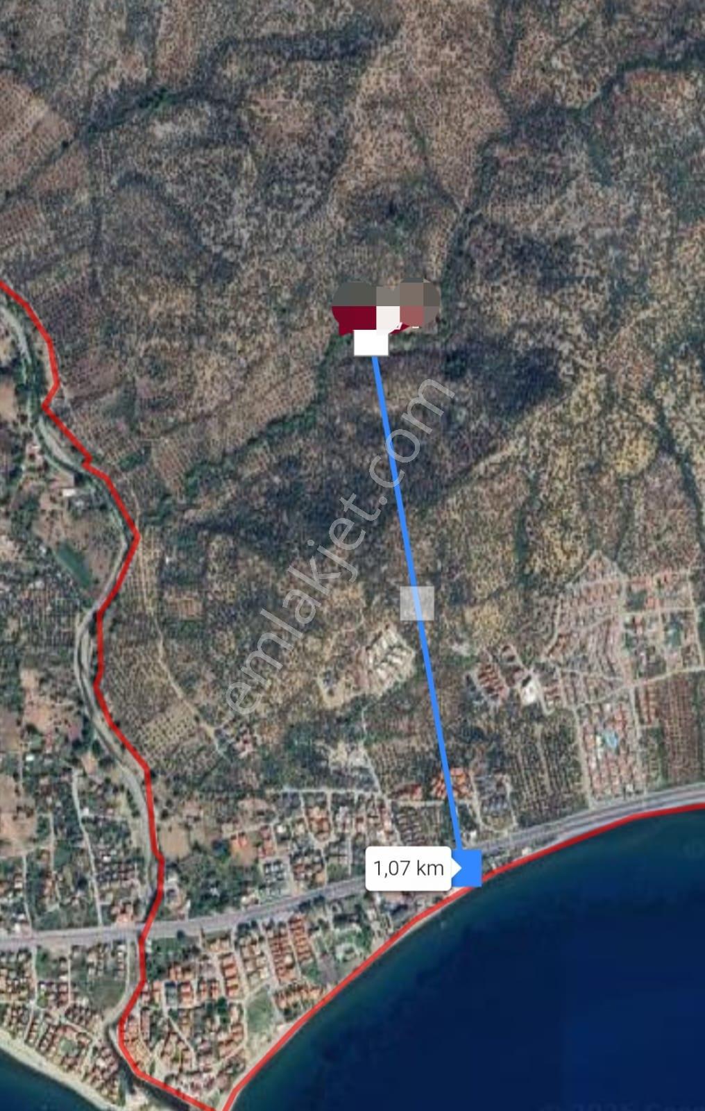 &kerim'den Satılık Narlı'da Kaz Dağları İçi Yatırımlık Zeytinlik - Görsel 18