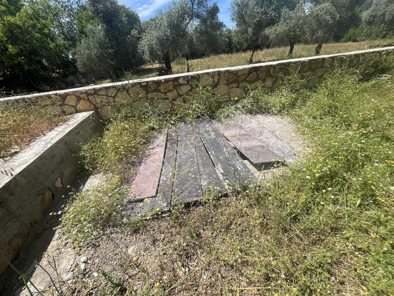 Milas Sögütçük Mahallesin'de - Görsel 9