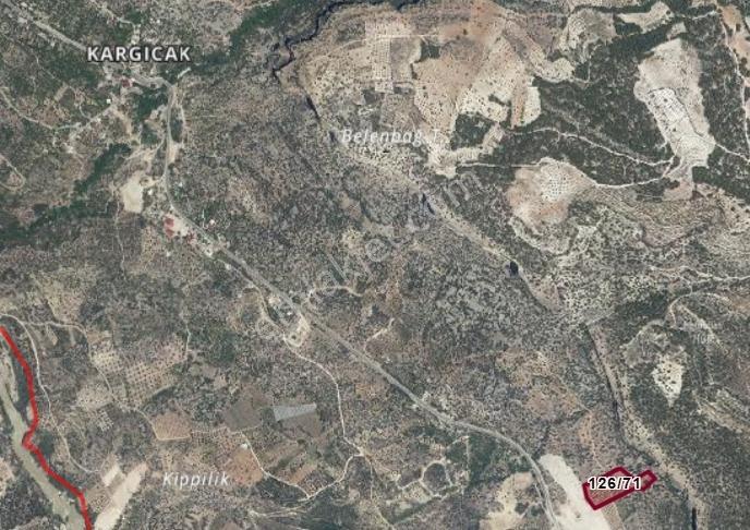 Satılık Silifke Kargıcak Köyü 10.607 M² Zeytin Bahçesi - Görsel 4