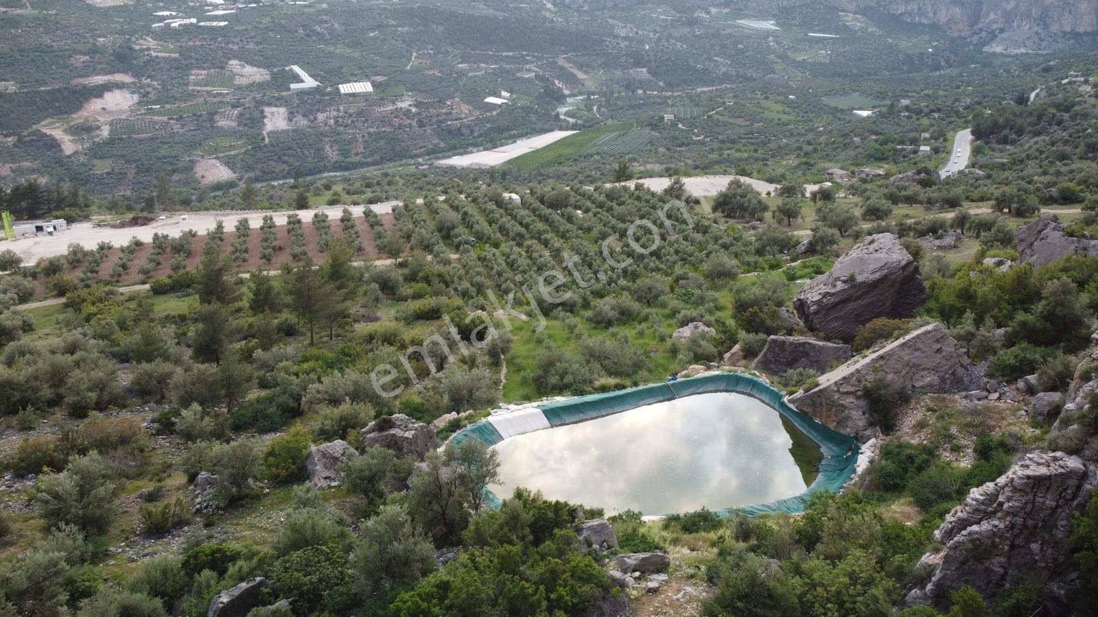 Satılık Silifke Kargıcak Köyü 10.607 M² Zeytin Bahçesi - Görsel 17