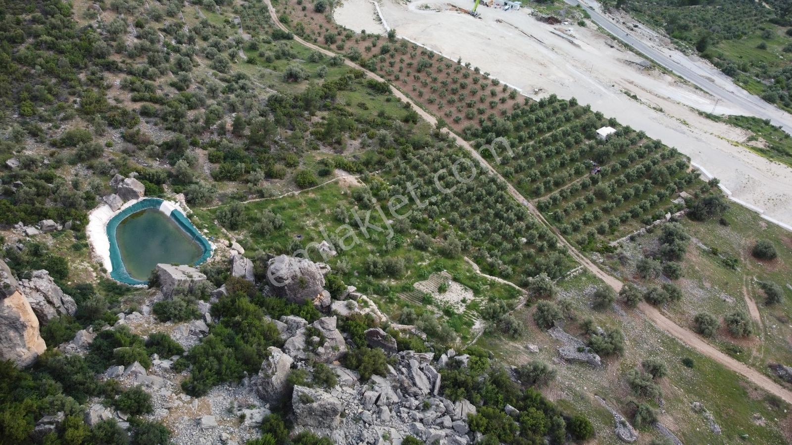 Satılık Silifke Kargıcak Köyü 10.607 M² Zeytin Bahçesi - Görsel 15