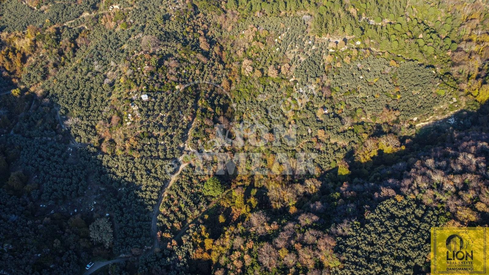 Lıon Emlak''tan Ocaklar'da Deniz Manzaralı Fırsat Zeytinlik - Görsel 2