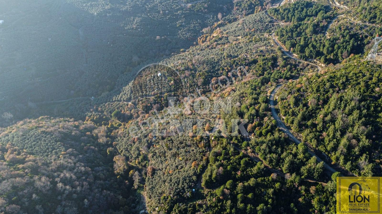Lıon Emlak''tan Ocaklar'da Deniz Manzaralı Fırsat Zeytinlik - Görsel 17