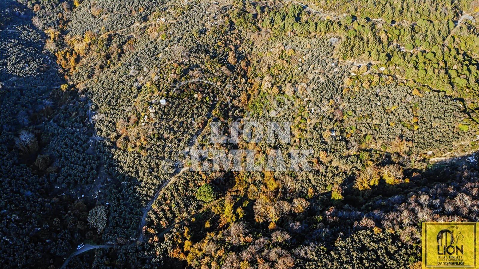 Lıon Emlak''tan Ocaklar'da Deniz Manzaralı Fırsat Zeytinlik - Görsel 33