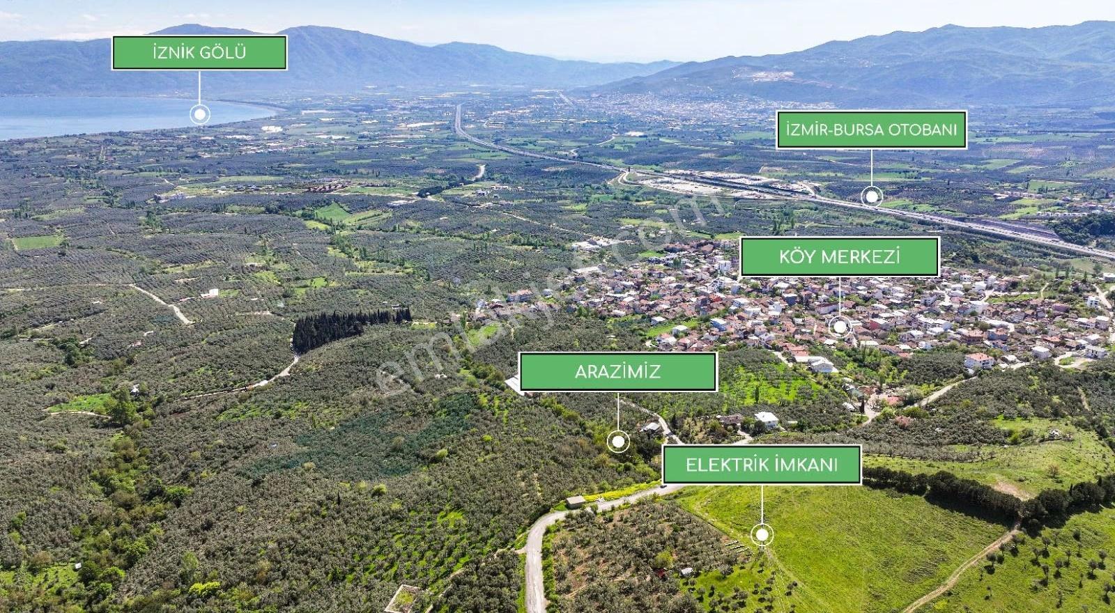 Bursa Orhangazi Yeniköyde İznik Gölü Manzaralı 2891m2 Zeytinlik - Görsel 2