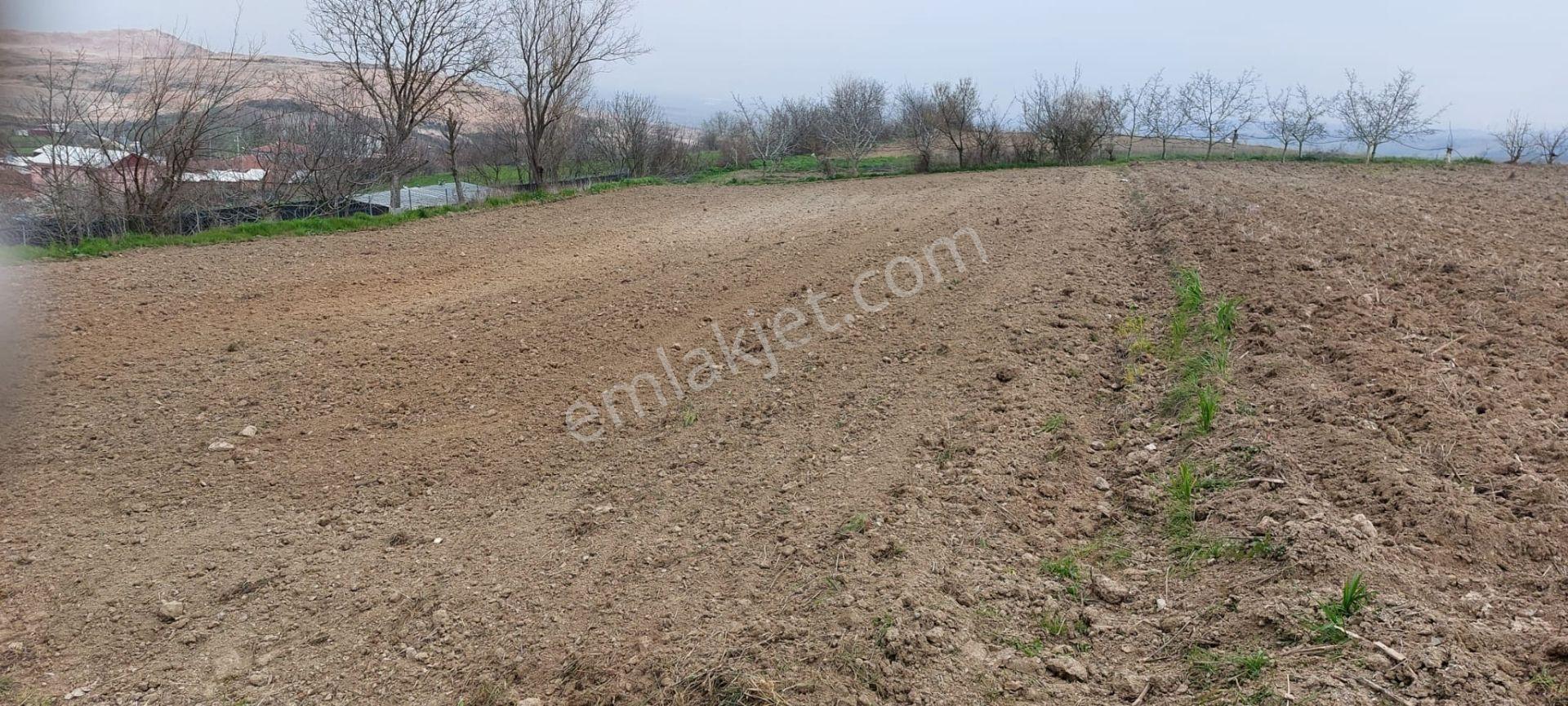Kestel Soğuksu Köyünde Sahibinden Imar Dıbı Yatırılmık Tarla