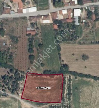 Kestel Soğuksu Köyünde Sahibinden Imar Dıbı Yatırılmık Tarla - Görsel 2