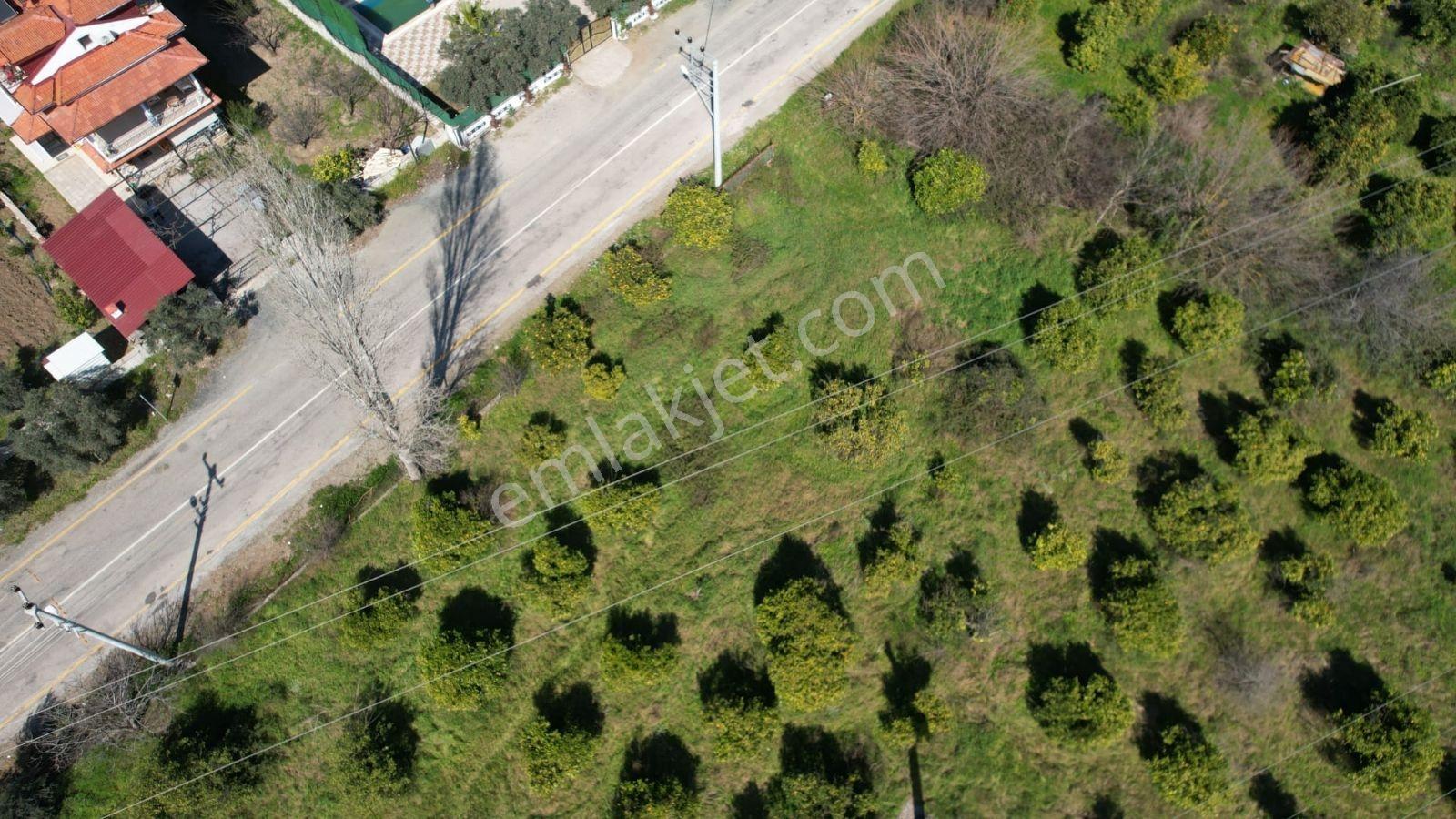 Yetkili Ofis- İnlicede 755 M2 Denize 2 Km, Ruhsatlı, Özel Arsa - Görsel 4