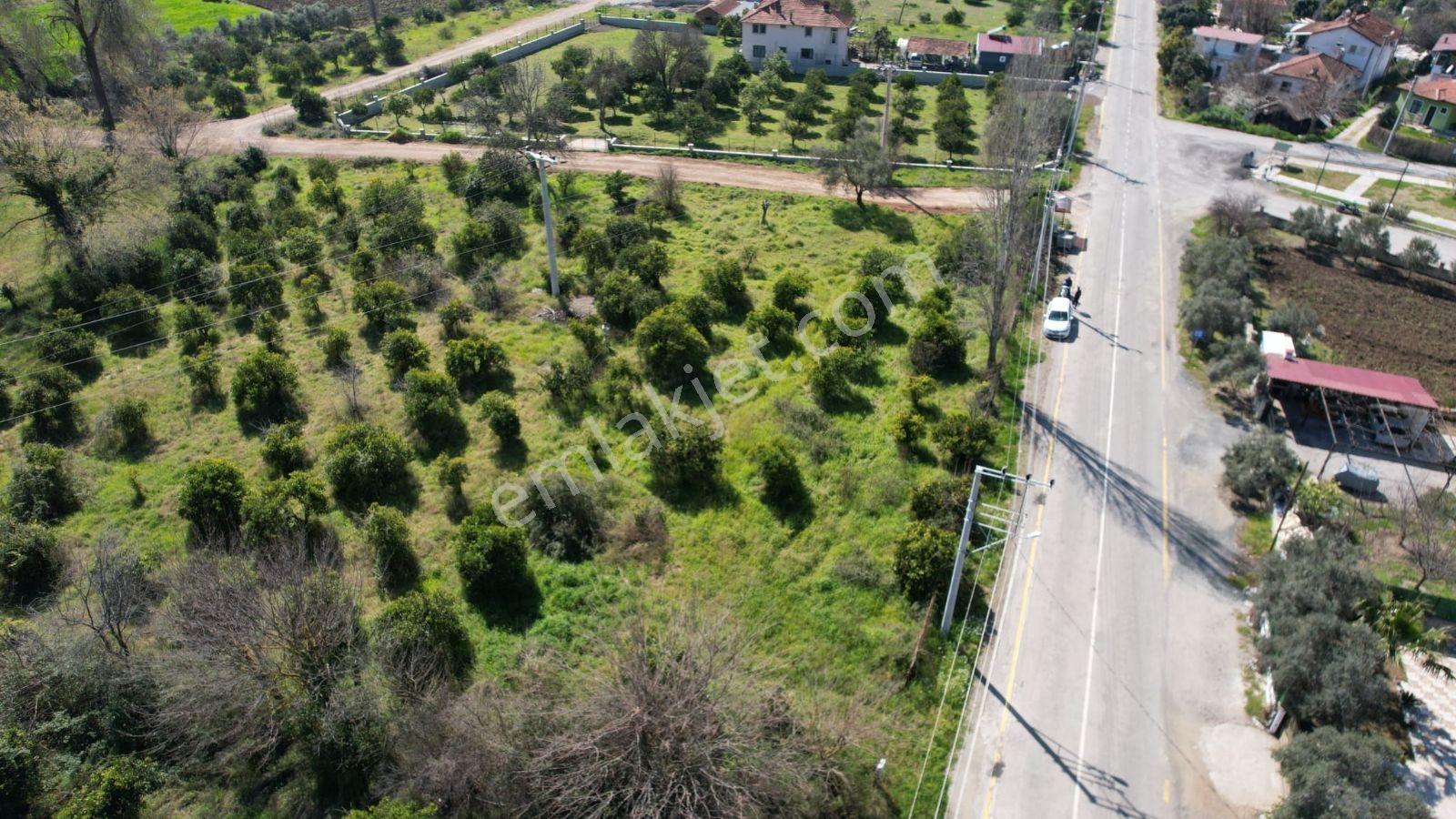 Yetkili Ofis- İnlicede 755 M2 Denize 2 Km, Ruhsatlı, Özel Arsa - Görsel 9