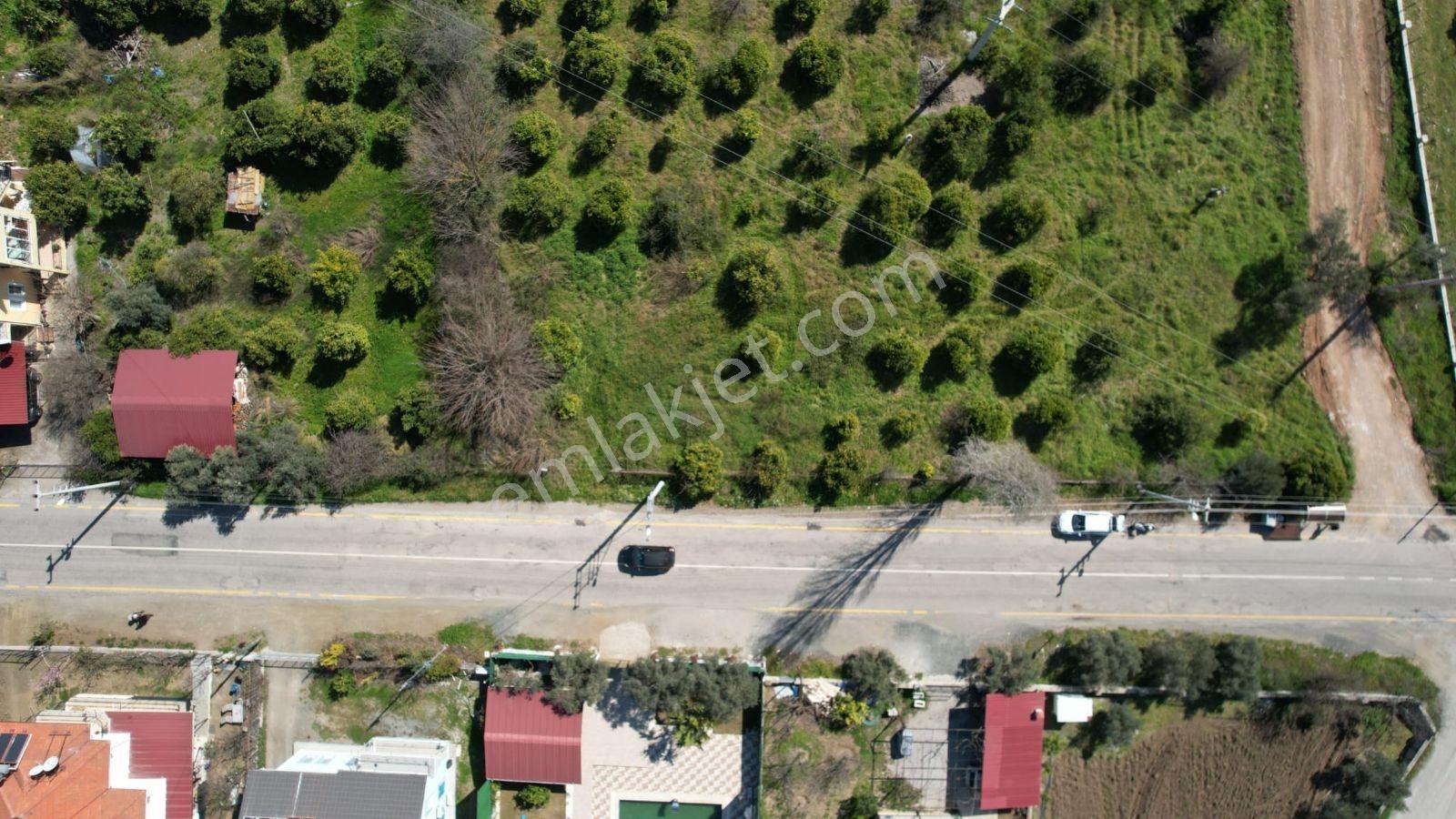 Yetkili Ofis- İnlicede 755 M2 Denize 2 Km, Ruhsatlı, Özel Arsa - Görsel 2