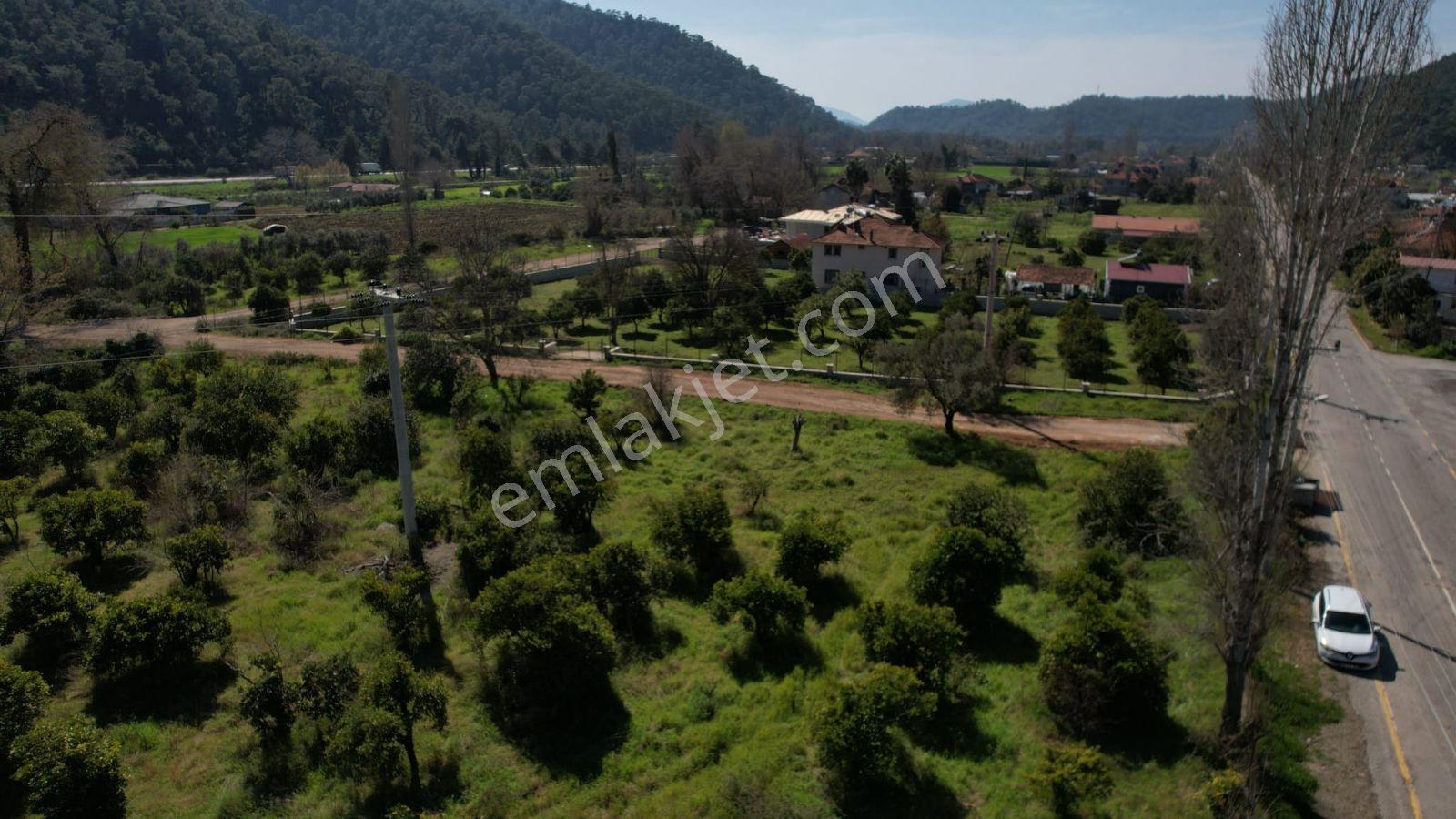 Yetkili Ofis- İnlicede 755 M2 Denize 2 Km, Ruhsatlı, Özel Arsa - Görsel 5
