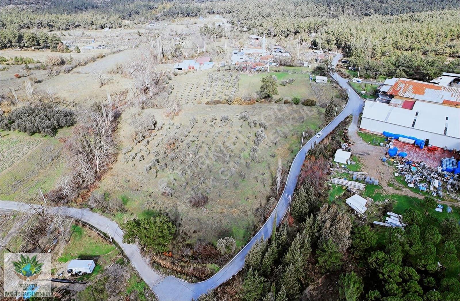 Pasifikten Deliömerde 1.900 M² Hisseli Tapu Tarla - Görsel 8