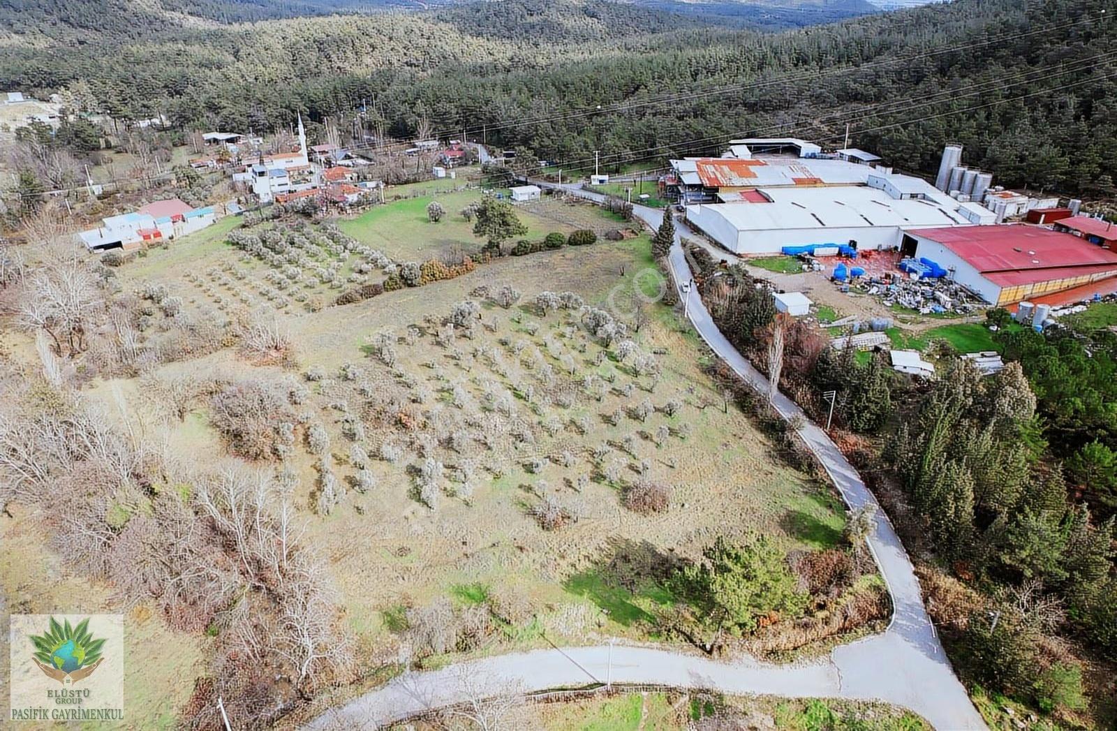 Pasifikten Deliömerde 1.900 M² Hisseli Tapu Tarla - Görsel 6