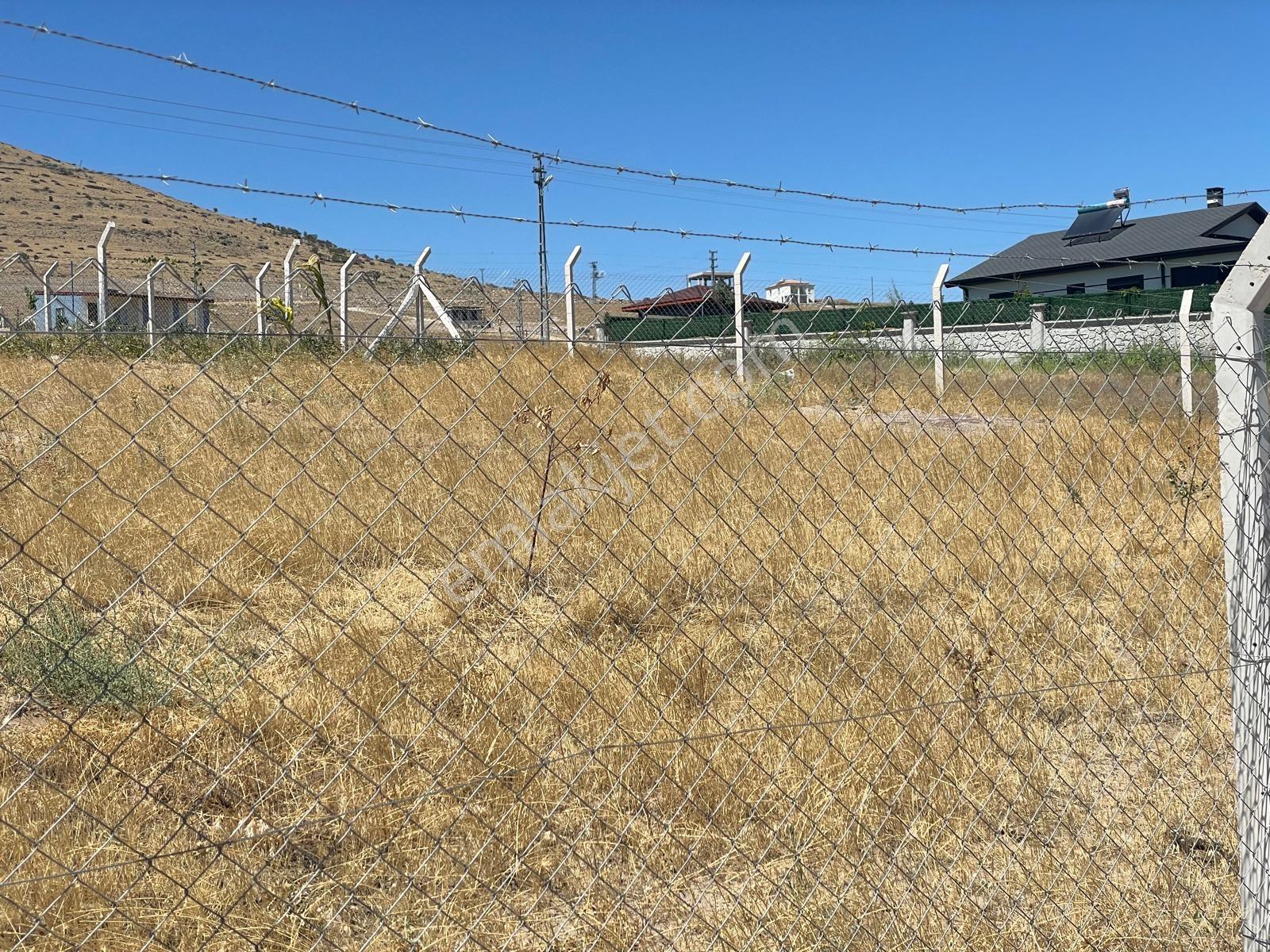 İncesu Bedir Bağları Erciyes Manzaralı - Görsel 9